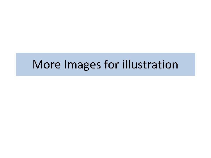 More Images for illustration More Images for illustration