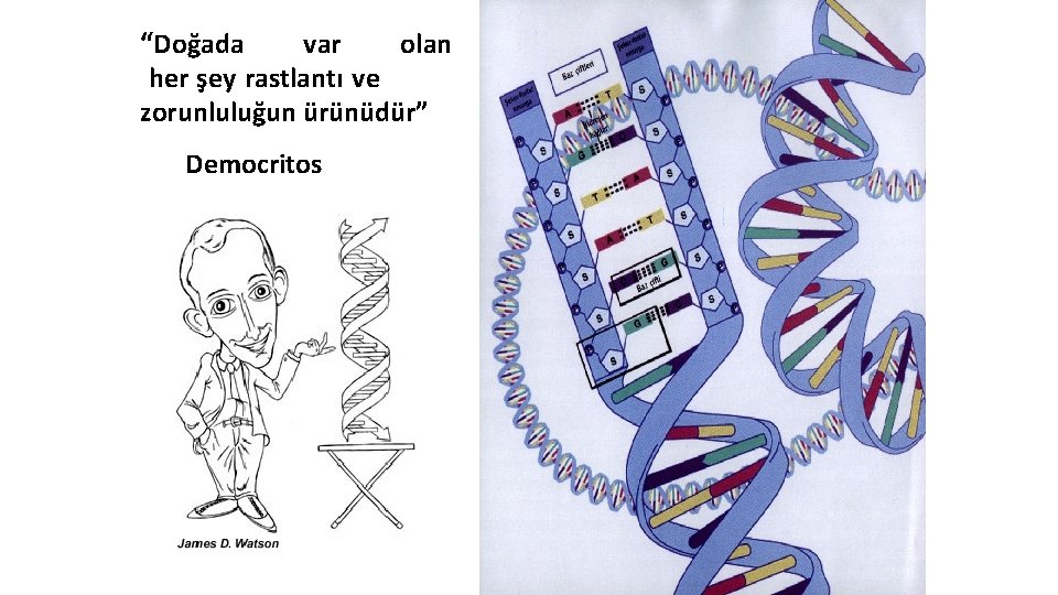 “Doğada var olan her şey rastlantı ve zorunluluğun ürünüdür” Democritos 