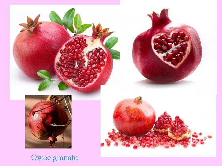 Owoc granatu 