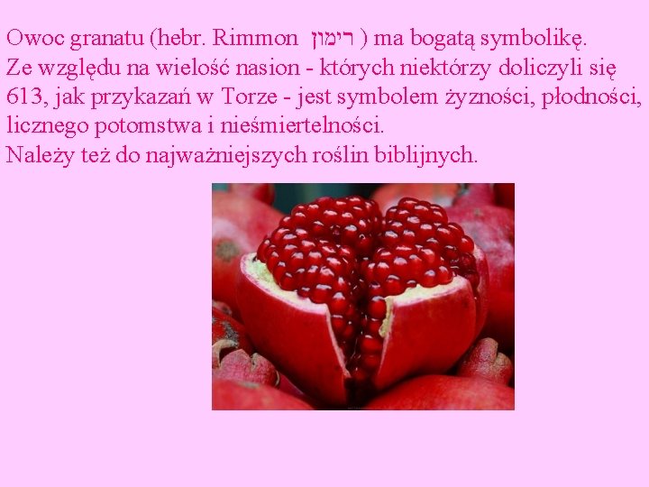Owoc granatu (hebr. Rimmon ) רימון ma bogatą symbolikę. Ze względu na wielość nasion