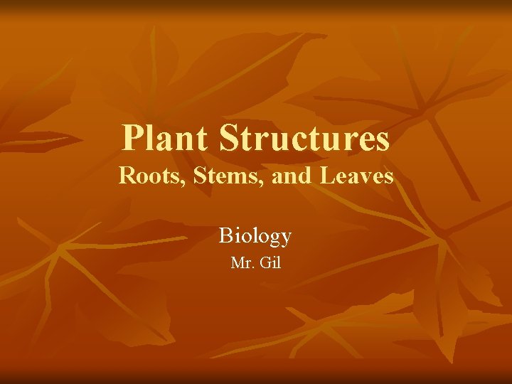 Plant Structures Roots, Stems, and Leaves Biology Mr. Gil 