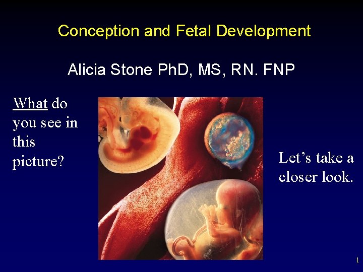 Conception and Fetal Development Alicia Stone Ph. D, MS, RN. FNP What do you