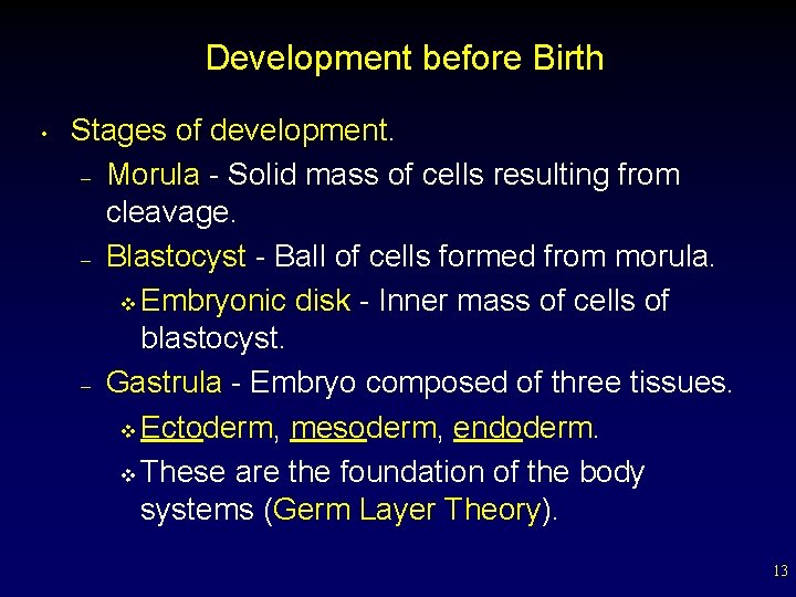 Development before Birth • Stages of development. – Morula - Solid mass of cells