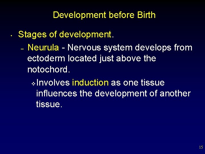 Development before Birth • Stages of development. – Neurula - Nervous system develops from