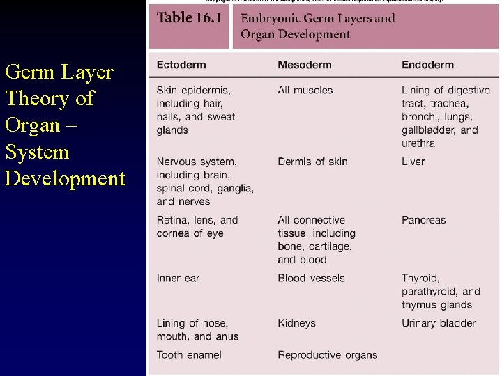 Germ Layer Theory of Organ – System Development 17 
