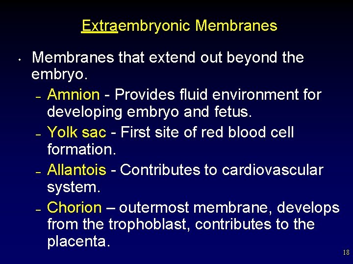 Extraembryonic Membranes • Membranes that extend out beyond the embryo. – Amnion - Provides