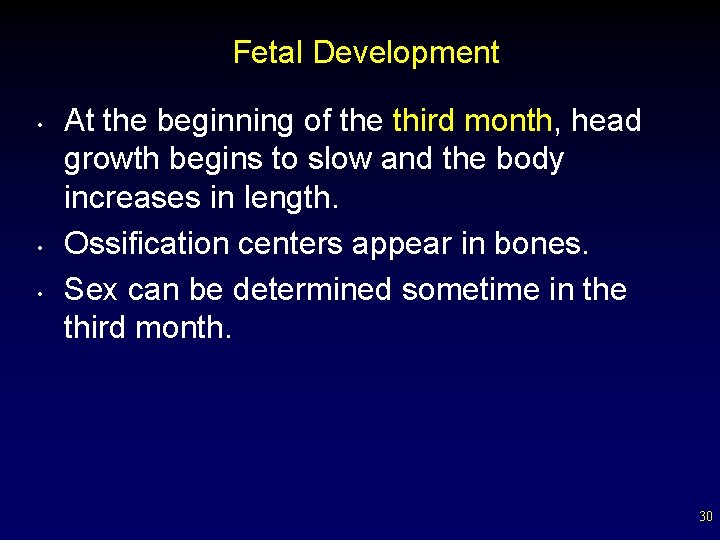 Fetal Development • • • At the beginning of the third month, head growth