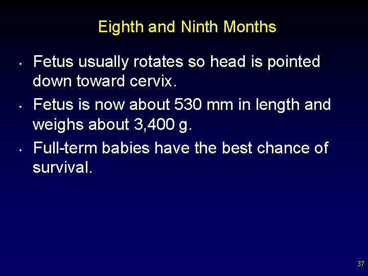 Eighth and Ninth Months • • • Fetus usually rotates so head is pointed