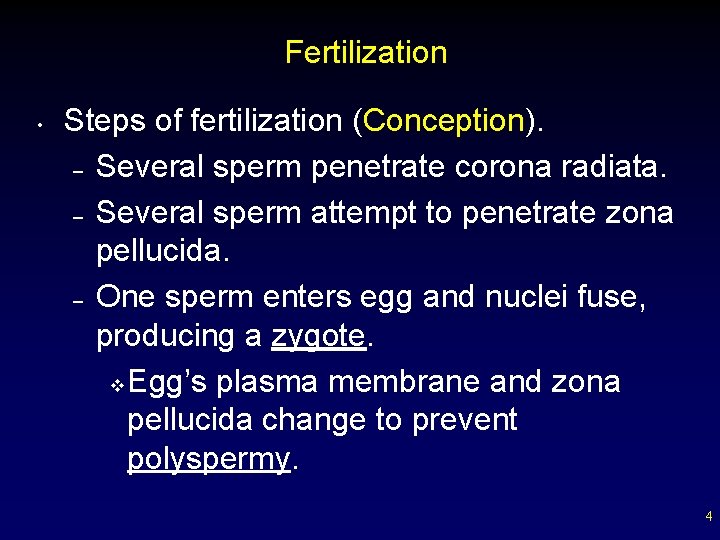 Fertilization • Steps of fertilization (Conception). – Several sperm penetrate corona radiata. – Several