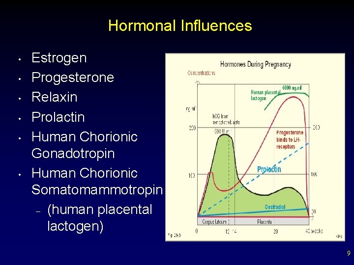 Hormonal Influences • • • Estrogen Progesterone Relaxin Prolactin Human Chorionic Gonadotropin Human Chorionic