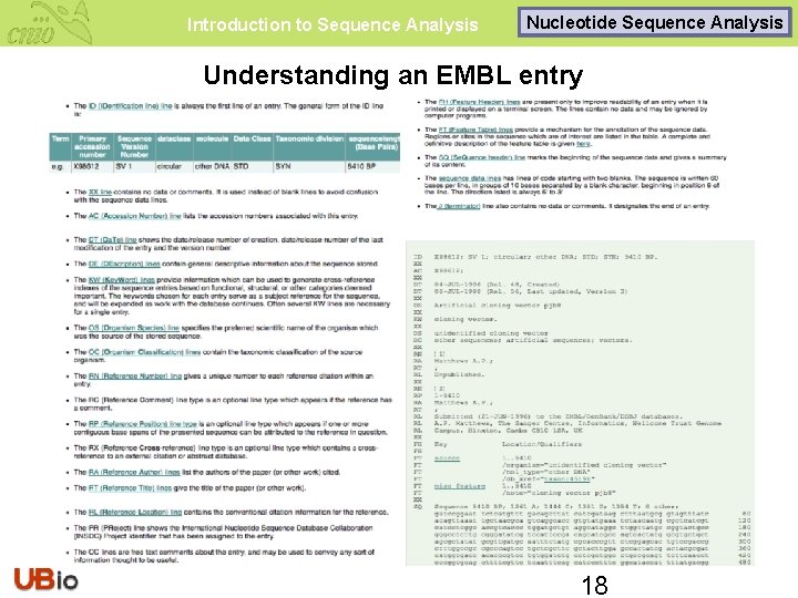 Introduction to Sequence Analysis Nucleotide Sequence Analysis Understanding an EMBL entry 18 