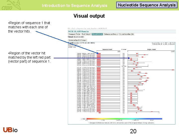 Introduction to Sequence Analysis Nucleotide Sequence Analysis Visual output • Region of sequence 1