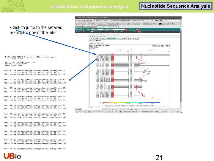 Introduction to Sequence Analysis Nucleotide Sequence Analysis Visual output • Click to jump to