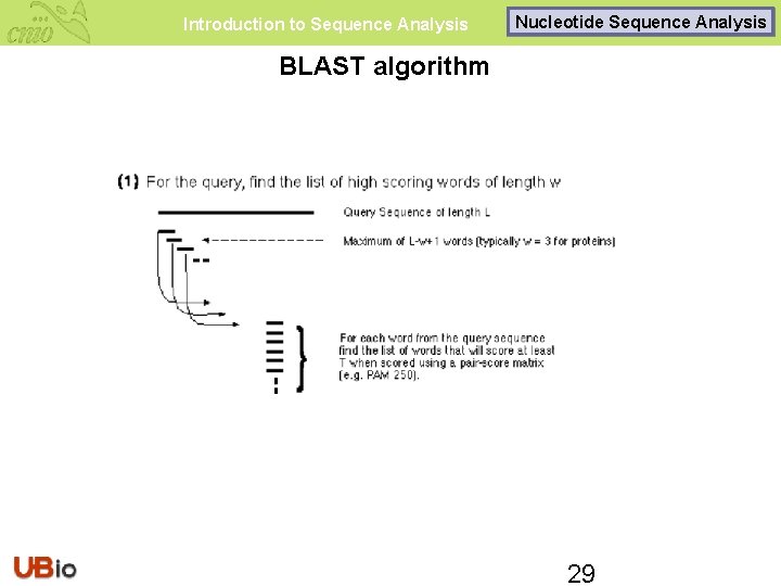 Introduction to Sequence Analysis Nucleotide Sequence Analysis BLAST algorithm 29 
