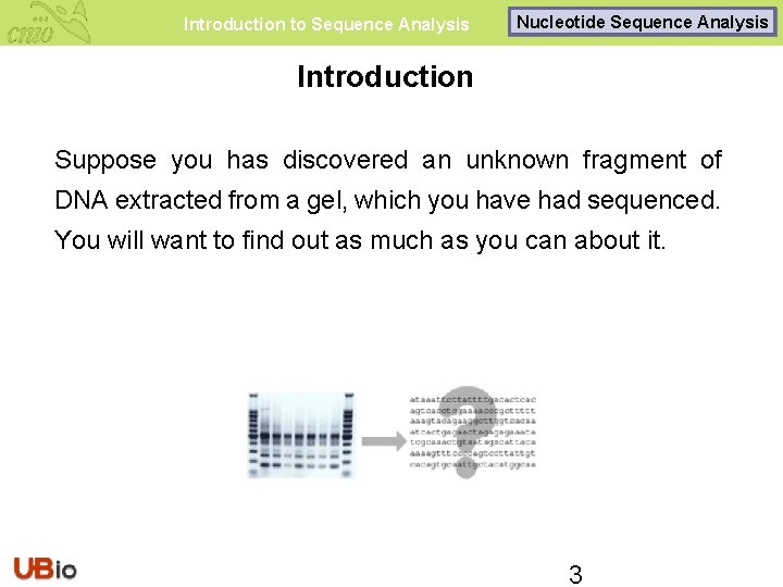 Introduction to Sequence Analysis Nucleotide Sequence Analysis Introduction Suppose you has discovered an unknown