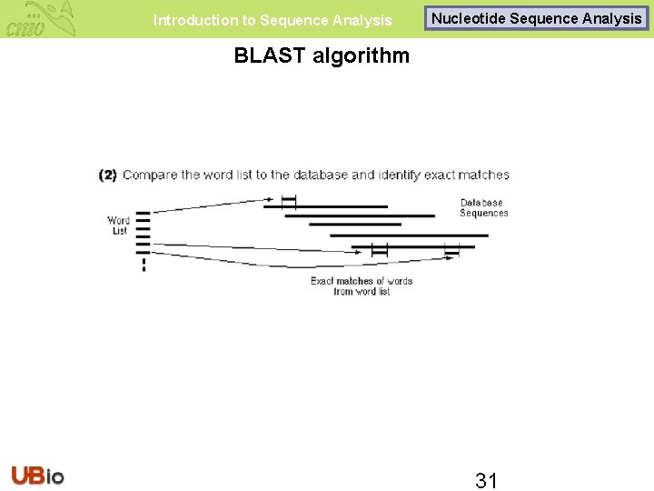 Introduction to Sequence Analysis Nucleotide Sequence Analysis BLAST algorithm 31 
