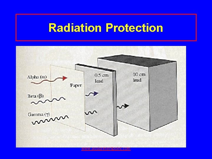 Radiation Protection www. assignmentpoint. com 