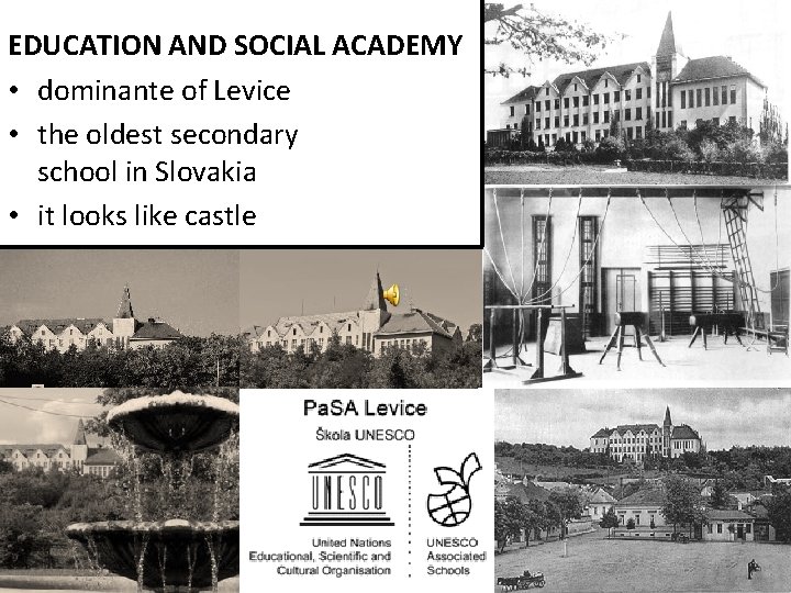 EDUCATION AND SOCIAL ACADEMY • dominante of Levice • the oldest secondary school in