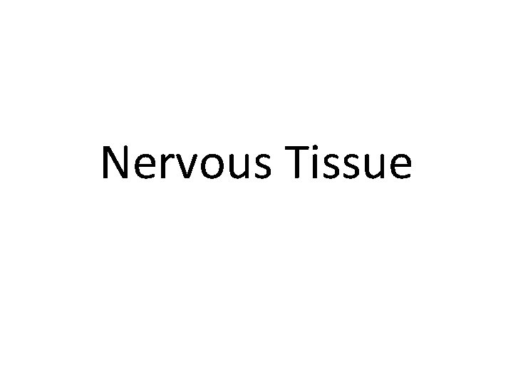 Nervous Tissue 
