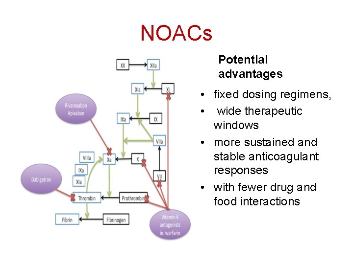 NOACs Potential advantages • fixed dosing regimens, • wide therapeutic windows • more sustained