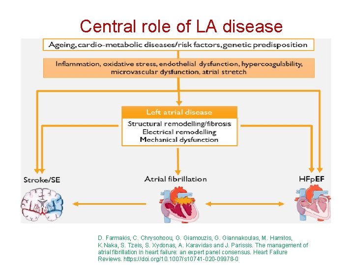 Central role of LA disease D. Farmakis, C. Chrysohoou, G. Giamouzis, G. Giannakoulas, M.