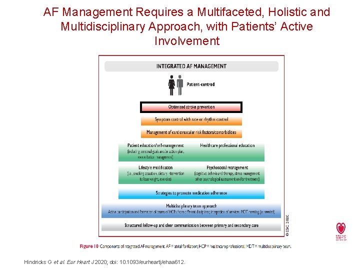 AF Management Requires a Multifaceted, Holistic and Multidisciplinary Approach, with Patients’ Active Involvement Hindricks