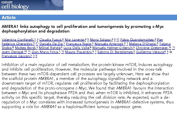 Article AMBRA 1 links autophagy to cell proliferation and tumorigenesis by promoting c-Myc dephosphorylation