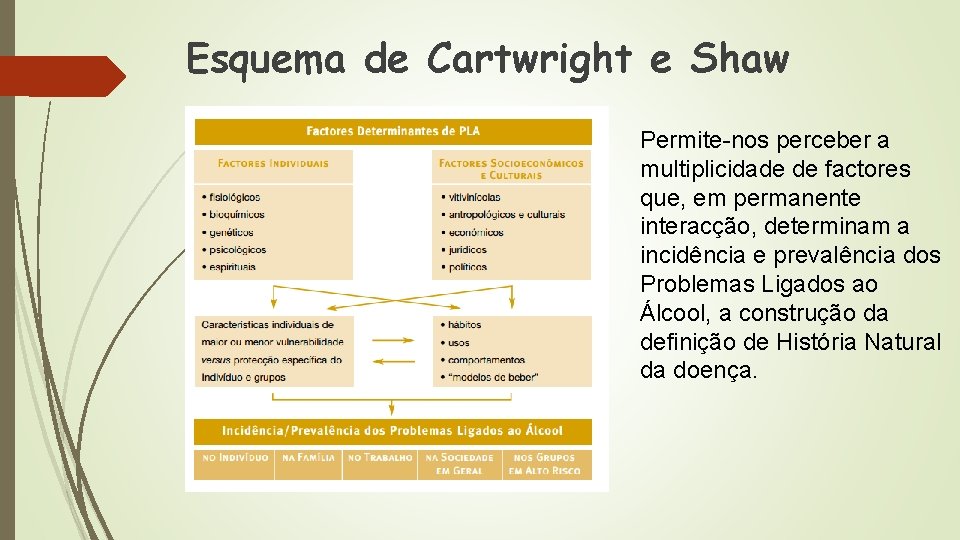 Esquema de Cartwright e Shaw Permite-nos perceber a multiplicidade de factores que, em permanente