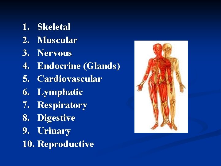 1. Skeletal 2. Muscular 3. Nervous 4. Endocrine (Glands) 5. Cardiovascular 6. Lymphatic 7.