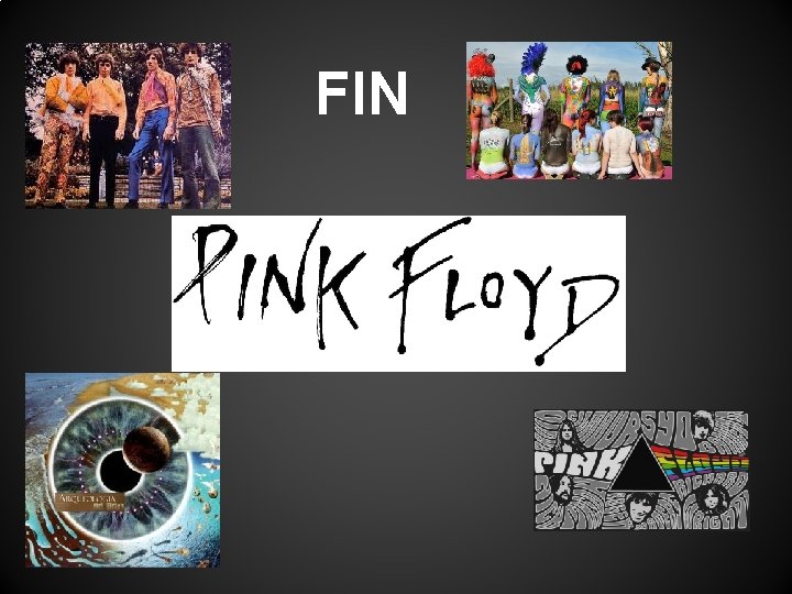 FIN 