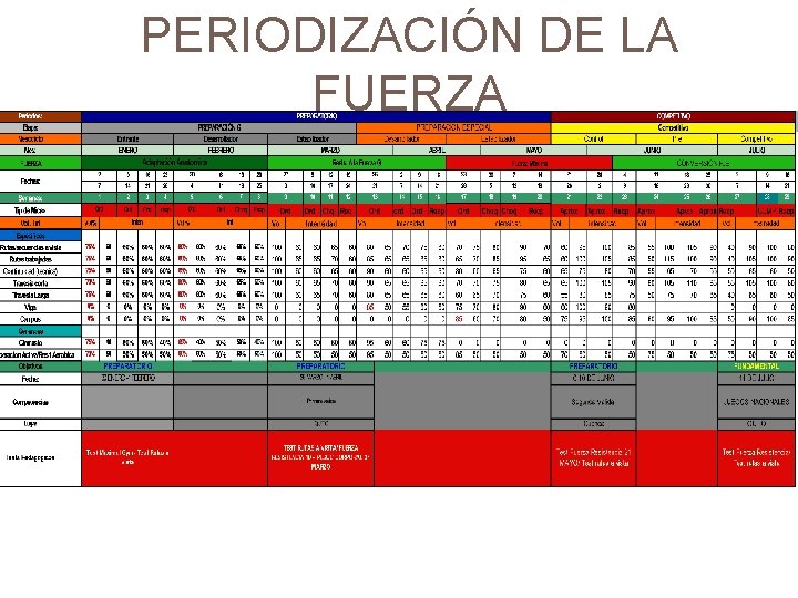 PERIODIZACIÓN DE LA FUERZA 