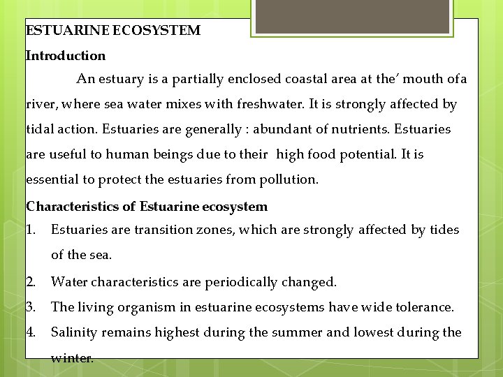 ESTUARINE ECOSYSTEM Introduction An estuary is a partially enclosed coastal area at the’ mouth ESTUARINE ECOSYSTEM Introduction An estuary is a partially enclosed coastal area at the’ mouth
