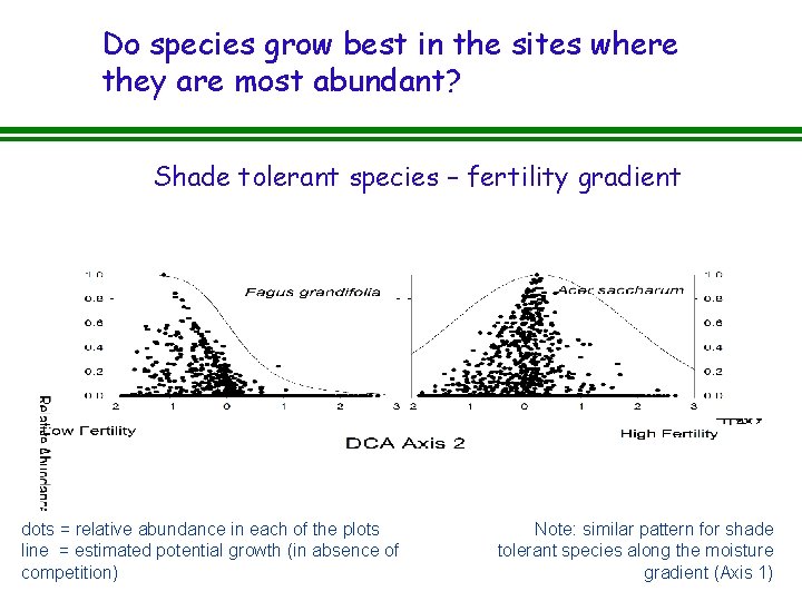 Do species grow best in the sites where they are most abundant? Shade tolerant Do species grow best in the sites where they are most abundant? Shade tolerant