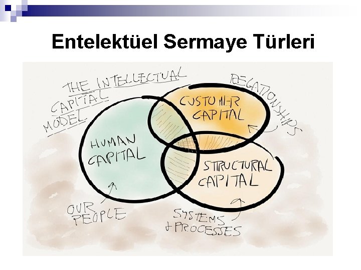 Entelektüel Sermaye Türleri 