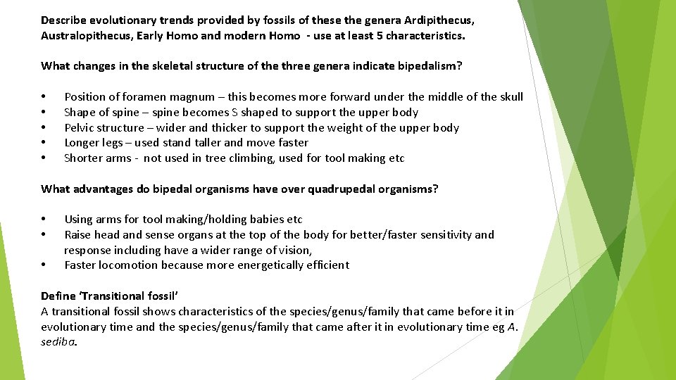 Describe evolutionary trends provided by fossils of these the genera Ardipithecus, Australopithecus, Early Homo Describe evolutionary trends provided by fossils of these the genera Ardipithecus, Australopithecus, Early Homo