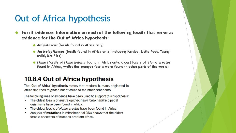Out of Africa hypothesis Fossil Evidence: Information on each of the following fossils that Out of Africa hypothesis Fossil Evidence: Information on each of the following fossils that