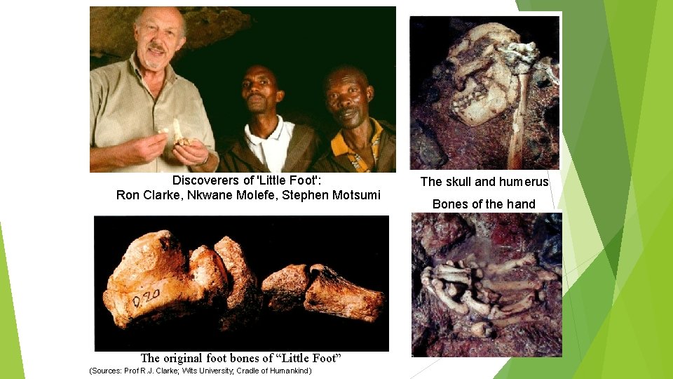 Discoverers of 'Little Foot': Ron Clarke, Nkwane Molefe, Stephen Motsumi The original foot bones Discoverers of 'Little Foot': Ron Clarke, Nkwane Molefe, Stephen Motsumi The original foot bones
