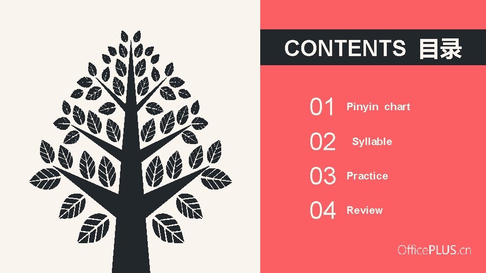 CONTENTS 目录 01 02 03 04 Pinyin chart Syllable Practice Review 