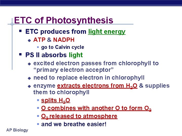 ETC of Photosynthesis § ETC produces from light energy u ATP & NADPH §