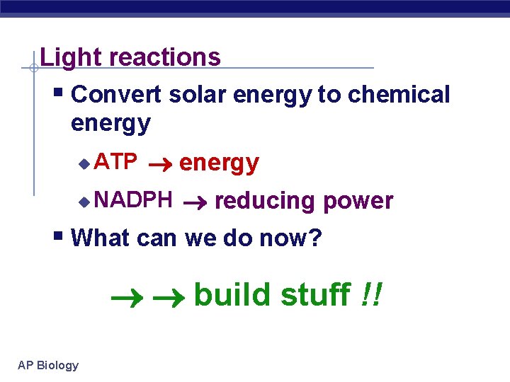 Light reactions § Convert solar energy to chemical energy u ATP energy u NADPH