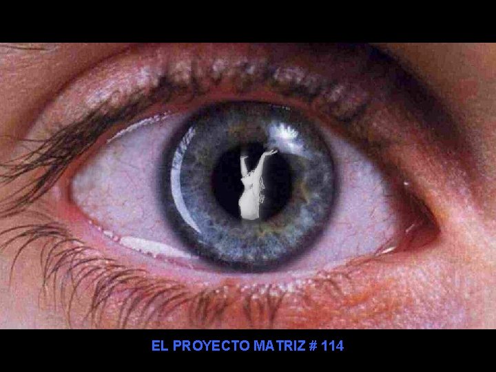 EL PROYECTO MATRIZ # 114 