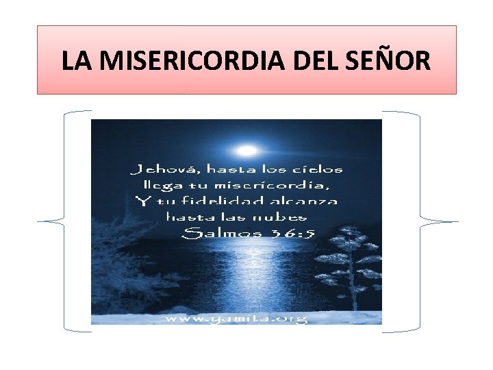 LA MISERICORDIA DEL SEÑOR 