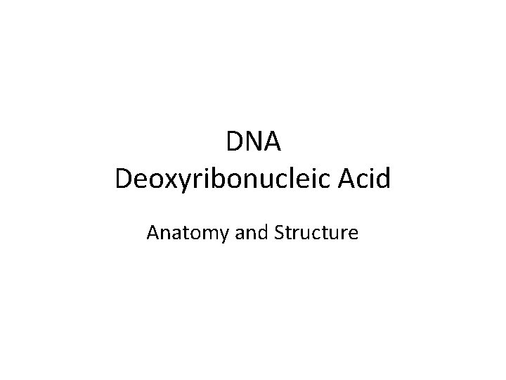 DNA Deoxyribonucleic Acid Anatomy and Structure 