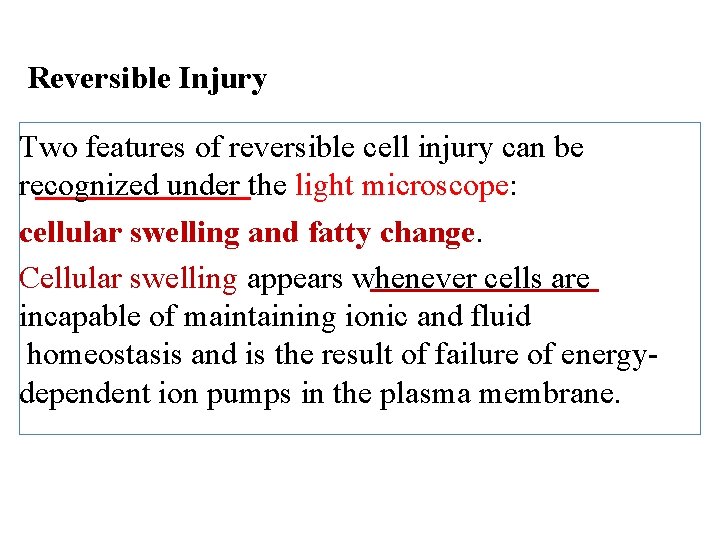 Reversible Injury Two features of reversible cell injury can be recognized under the light