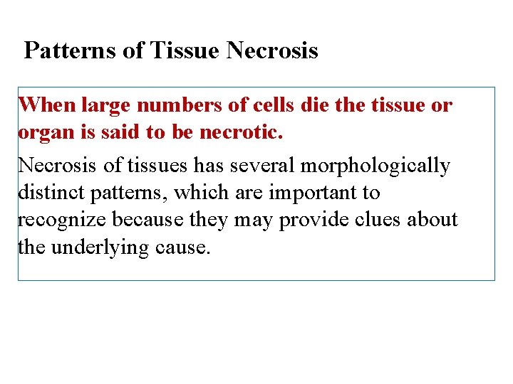 Patterns of Tissue Necrosis When large numbers of cells die the tissue or organ