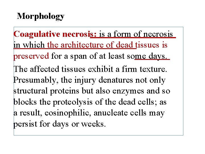 Morphology Coagulative necrosis: is a form of necrosis in which the architecture of dead