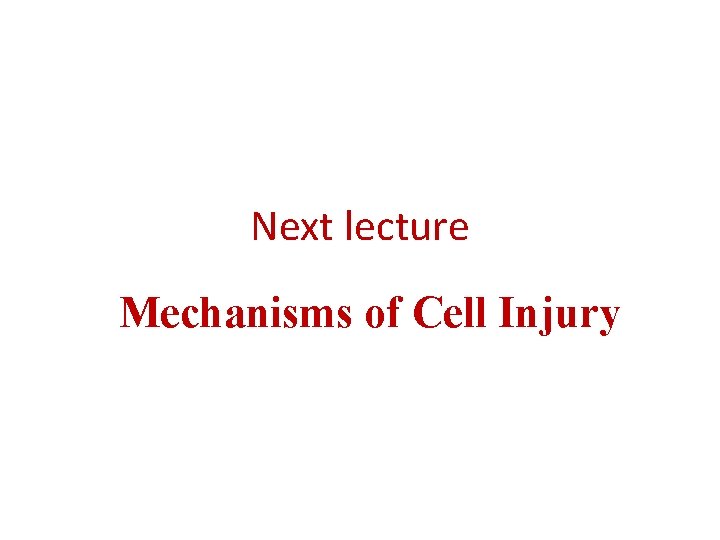 Next lecture Mechanisms of Cell Injury 