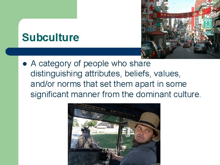 Subculture l A category of people who share distinguishing attributes, beliefs, values, and/or norms