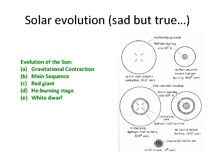 Solar evolution (sad but true…) Evolution of the Sun: (a) Gravitational Contraction (b) Main