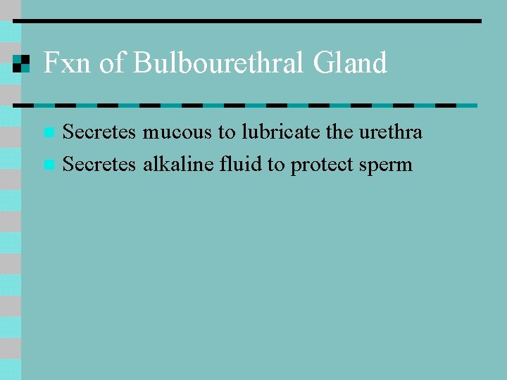 Fxn of Bulbourethral Gland Secretes mucous to lubricate the urethra n Secretes alkaline fluid